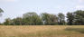 St. Charles Grove - Open Area