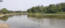 St. Charles Grove - Assiniboine River - Facing East