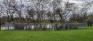 St. Charles Grove - The Grove - Spring 2022