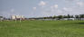 Golden Gate Park / Sturgeon Heights Community Centre - Soccer Fields