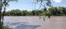 Coleridge Park - Assiniboine River - Southwest End