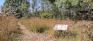 Henteleff Park - Trails - Tall Grasses